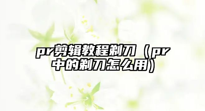 pr剪輯教程剃刀（pr中的剃刀怎么用）