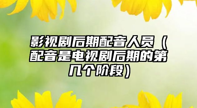 影視劇后期配音人員（配音是電視劇后期的第幾個(gè)階段）