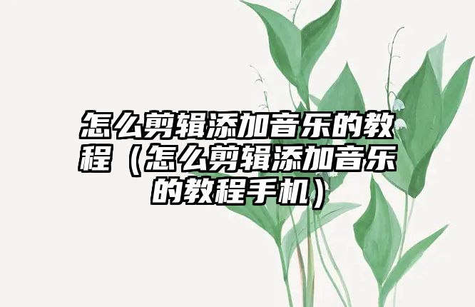 怎么剪輯添加音樂的教程（怎么剪輯添加音樂的教程手機(jī)）