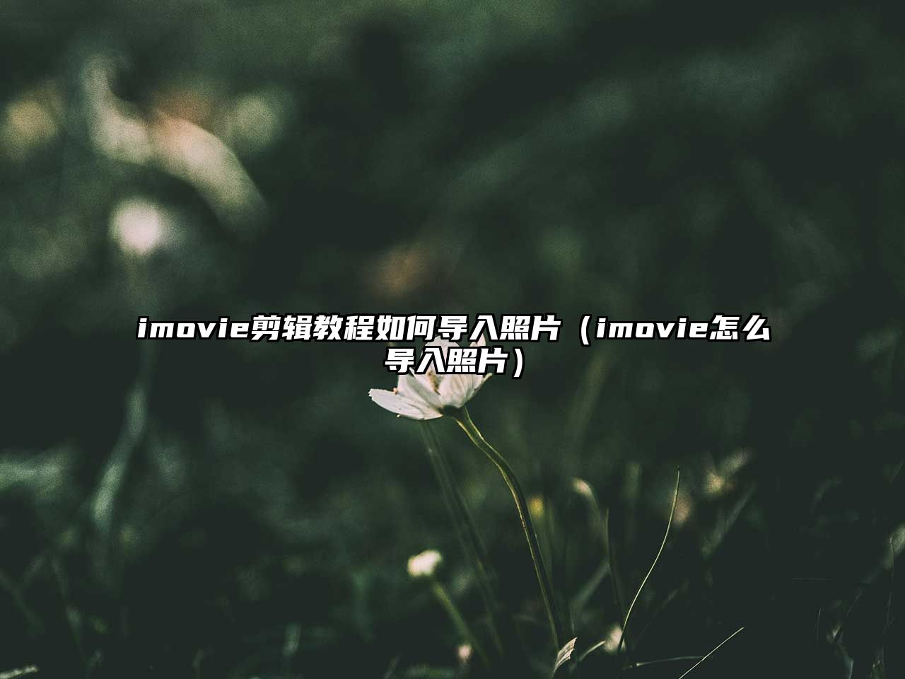 imovie剪輯教程如何導(dǎo)入照片（imovie怎么導(dǎo)入照片）